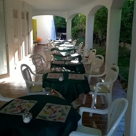 Flor Amistad 帕格拉