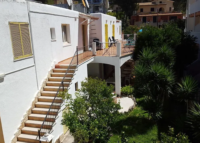 Flor Amistad * Peguera