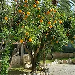 Flor Amistad Gasthof