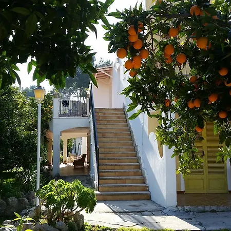 Guest house Flor Amistad Peguera
