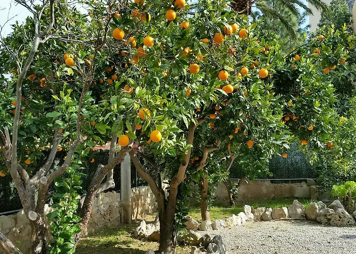 Flor Amistad Πανσιόν