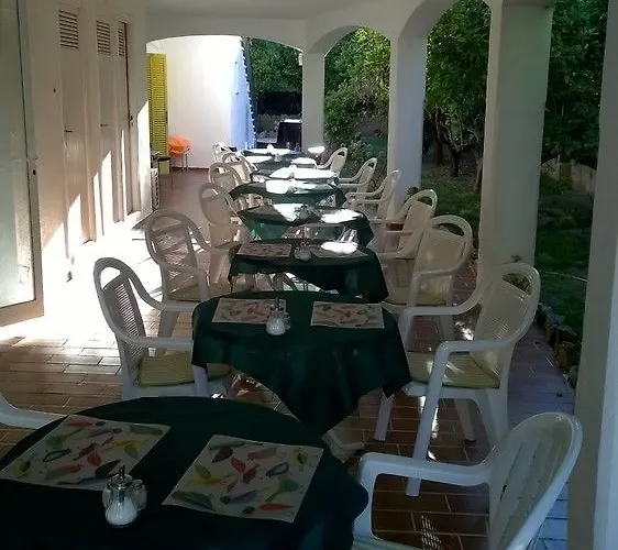 Flor Amistad Παγκουέρα