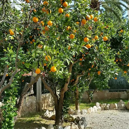 Flor Amistad Πανσιόν