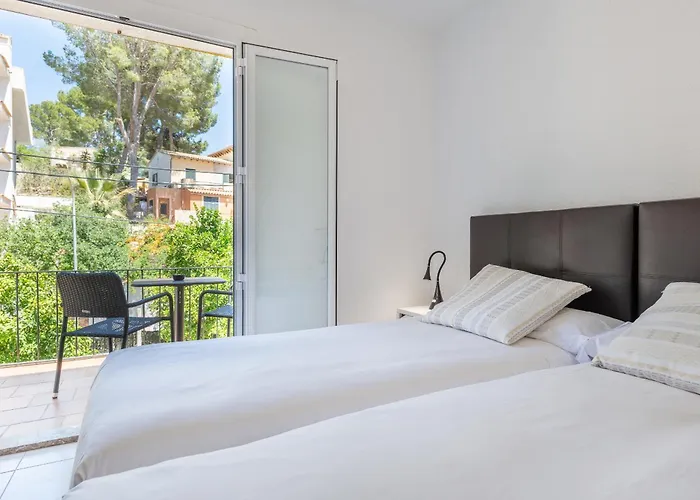 Flor Amistad 帕格拉